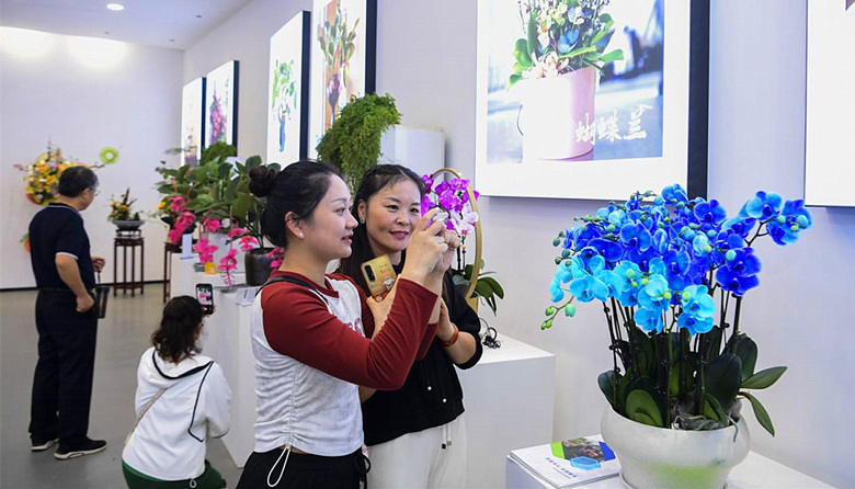 观众观展。方阳摄