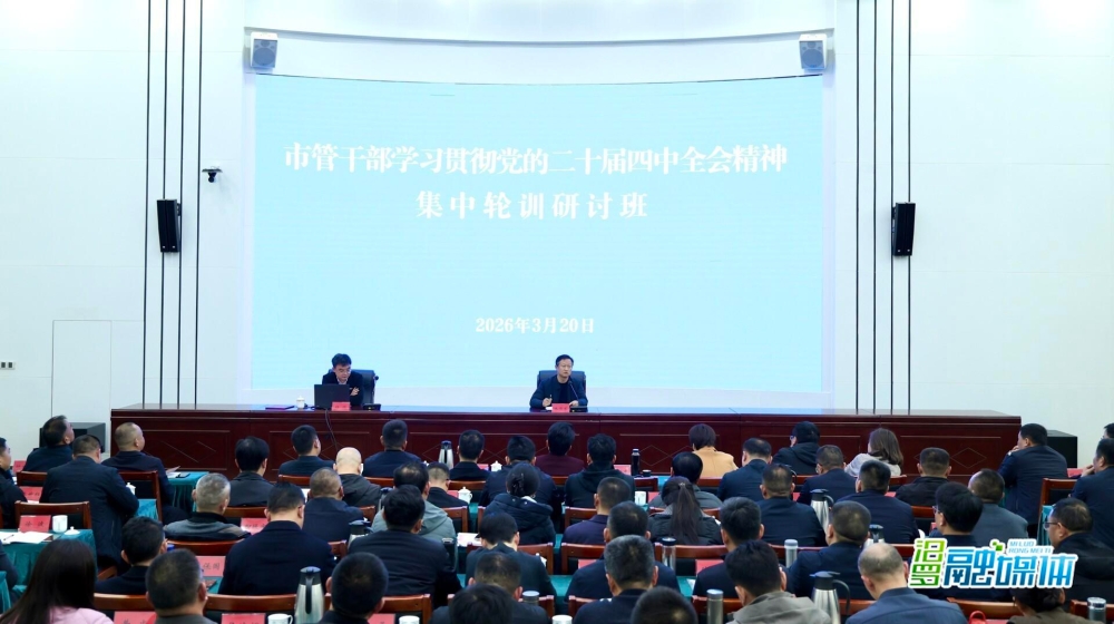 �ֺ��������ٿ������е�һ���йܸɲ�ѧϰ�᳹���Ķ�ʮ������ȫ�ᾫ������ѵ���ְ�����ί����ѧϰ������2026���2�μ��壨����ѧϰ