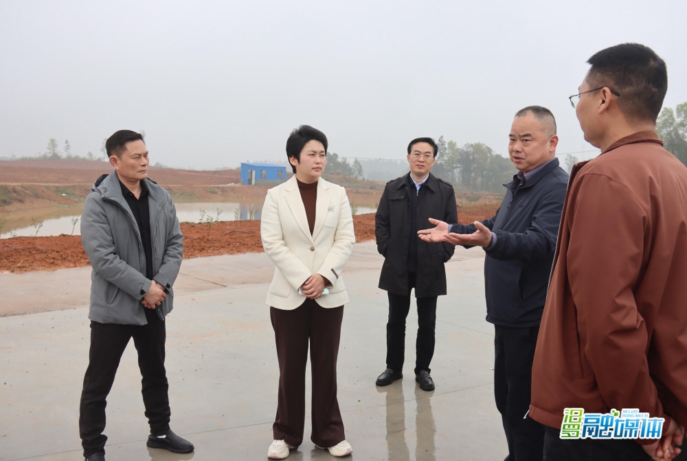 ���۵��������